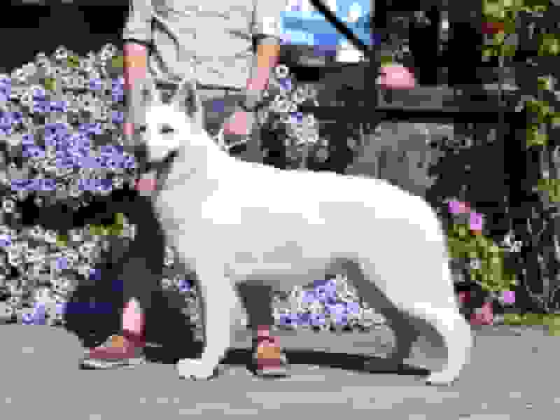 placeholder obrĂˇzek, nĂ­zkĂˇ kvalita