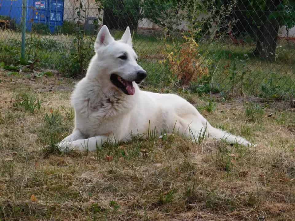 Artaban leží